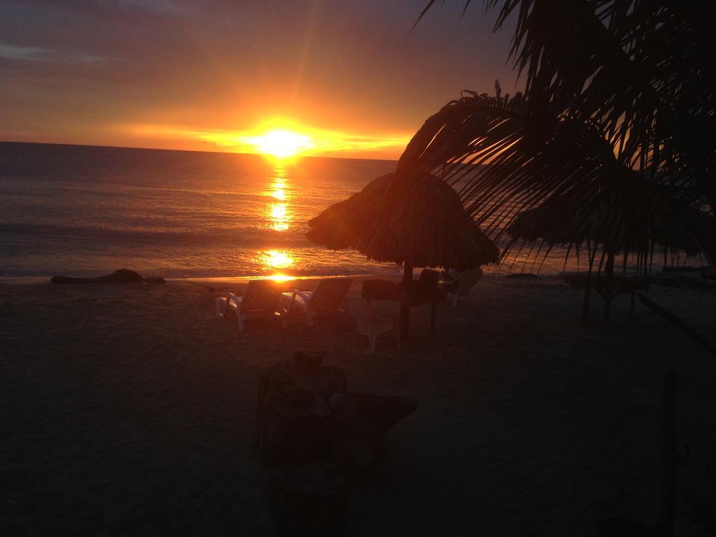 Hotel Casa Sattva- Bed & Breakfast Rincón 外观 照片