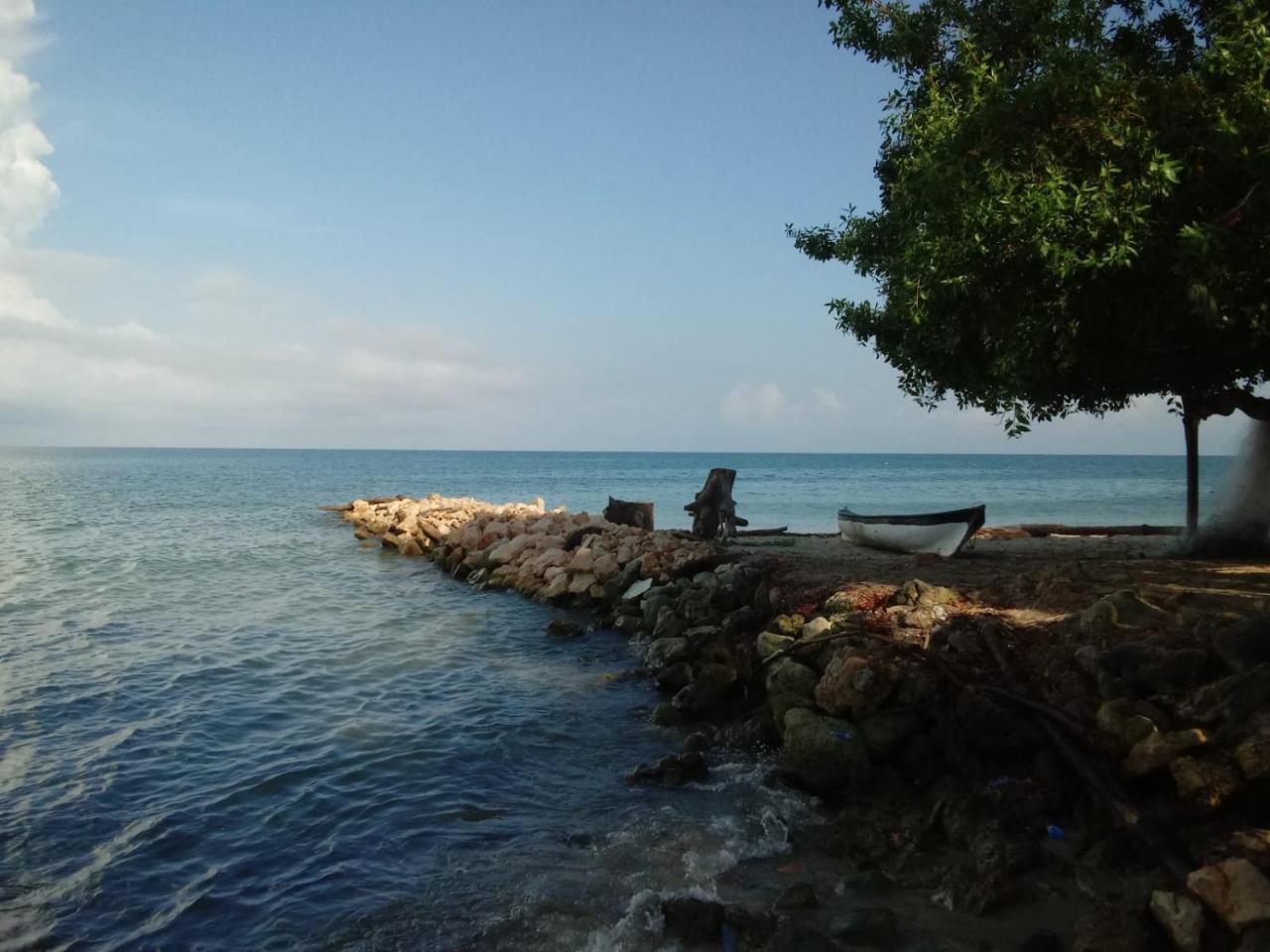 Hotel Casa Sattva- Bed & Breakfast Rincón 外观 照片
